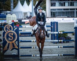 jumper Lancaster (Belgian Warmblood, 2011, from Fantomas de Muze)