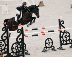 jumper Esprit D'Intro Z (Zangersheide riding horse, 2012, from Elvis Ter Putte)