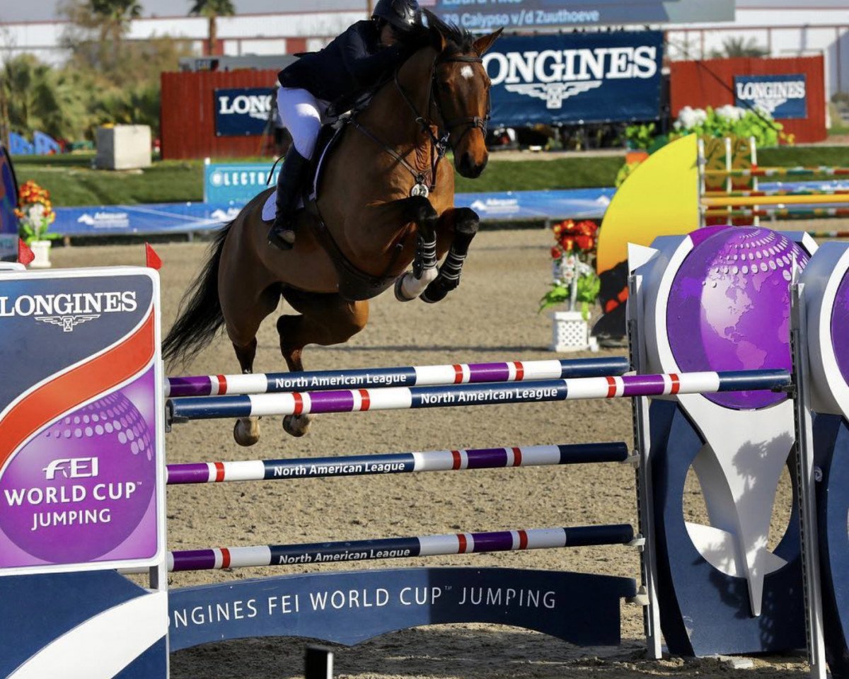 jumper Calypso v/d Zuuthoeve (Belgium Sporthorse, 2008, from Tangelo van de Zuuthoeve)