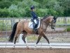 broodmare Glowing Pearl (German Riding Pony, 2007, from FS Pontiac)