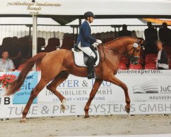 dressage horse Peppers Red Zack (Oldenburg, 2014, from Zack)