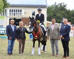 dressage horse New Passion (German Riding Pony, 2018, from New Classico)