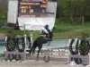 jumper Calandra 34 (Zangersheide riding horse, 2016, from Cuidam)