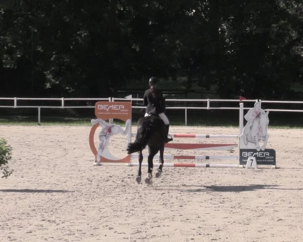 Reitturnier Prussendorf 2023