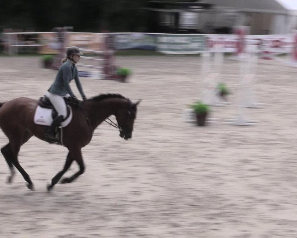 Reitturnier Prussendorf 2023