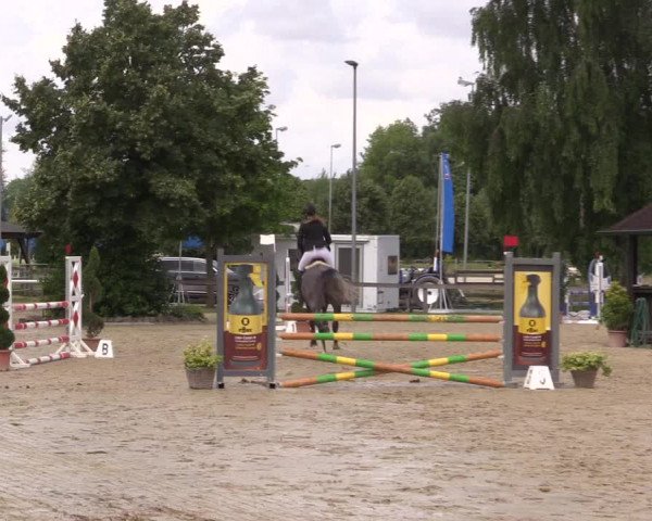 Reitturnier Münster-Roxel 2023