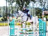 jumper Cellestina 11 (Oldenburg show jumper, 2015, from Cellestial)