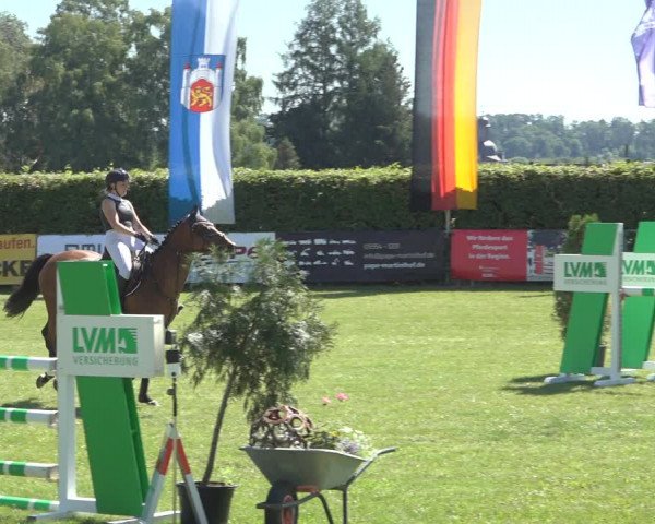 Reitturnier Moringen 2023