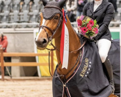 jumper Jovinal (Belgium Sporthorse, 2008, from Jokinal de Bornival)