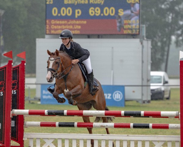 jumper Ballyhea Ruby (Irish Sport Horse, 2015)