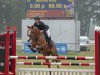 jumper Ballyhea Ruby (Irish Sport Horse, 2015)