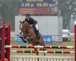 jumper Ballyhea Ruby (Irish Sport Horse, 2015)