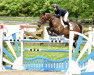 jumper Castle Oj (Irish Sport Horse, 2013, from Sligo Candy Boy)