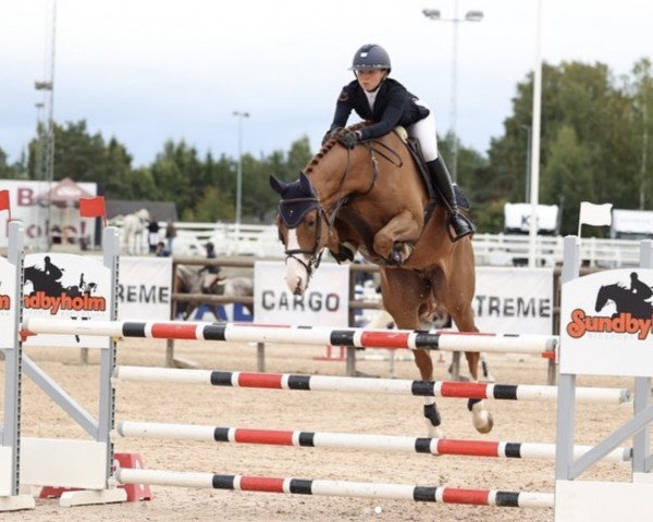 jumper Etiks It's Eternal (Norwegian Warmblood, 2016, from Cascadello)