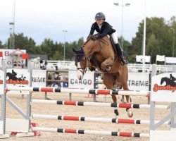 jumper Etiks It's Eternal (Norwegian Warmblood, 2016, from Cascadello)