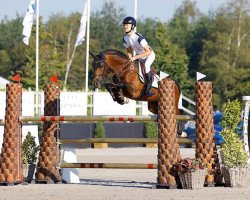 Springpferd Oscar van de Beekerheide (Nederlands Rijpaarden en Pony, 2010, von Orchid's Floris)