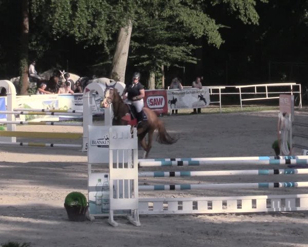 Reitturnier Prussendorf 2023