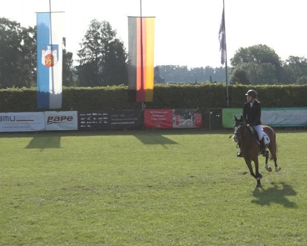 Reitturnier Moringen 2023