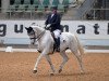 dressage horse Jule 270 (Westphalian, 2006, from Jazz Rubin)