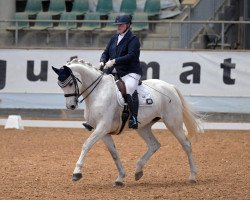 dressage horse Jule 270 (Westphalian, 2006, from Jazz Rubin)