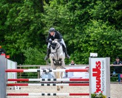 jumper Curly Sue 195 (German Sport Horse, 2012, from Clarimo Ask)