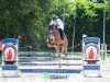 jumper Speedy vd Heffinck (Belgian Warmblood, 2018, from Foncetti vd Heffinck)