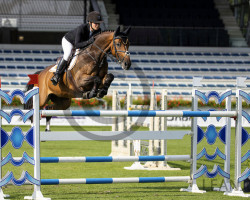 jumper Kes Tn (KWPN (Royal Dutch Sporthorse), 2015, from Comme il Faut)