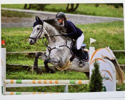 jumper Cosma Shiva 25 (Hanoverian, 2017, from Clinton's Heart)