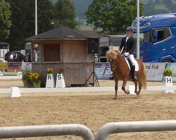 Reitturnier Rankweil 2023