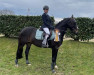 jumper Catweazel (German Riding Pony, 2011, from FS Champion de Luxe)