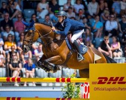 jumper Iron Lady van de Zuuthoeve (Swedish Warmblood, 2014, from Thunder van de Zuuthoeve)