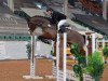 broodmare Cachu 3 (German Sport Horse, 2017, from Casallco)