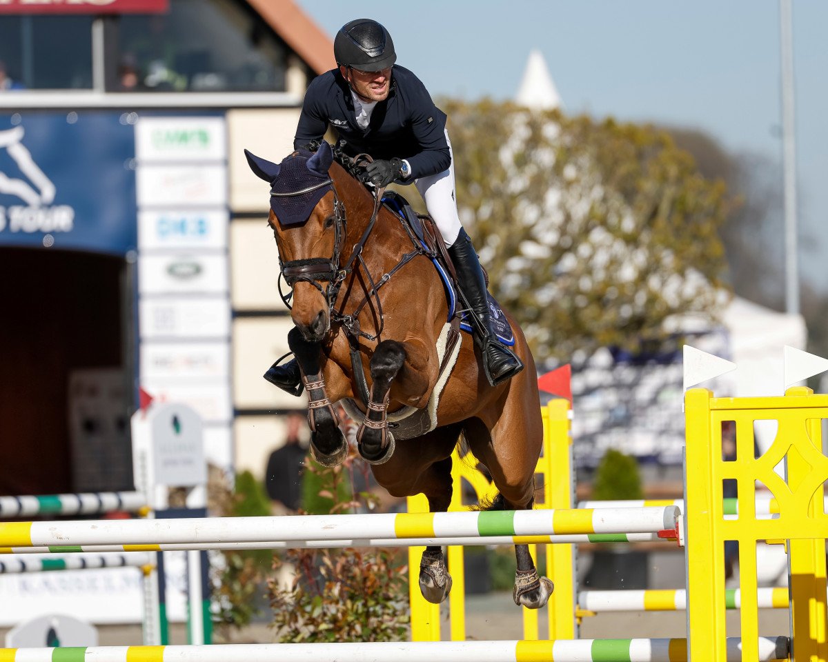 Springpferd Capolona (Deutsches Sportpferd, 2012, von Catoki)