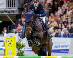 jumper Mava S (German Sport Horse, 2015, from HH Messenger)