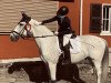 dressage horse Helios (Polish Warmblood, 2009, from Diabelek)