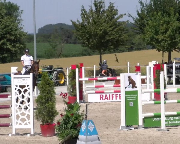 Reitturnier Beromünster 2023