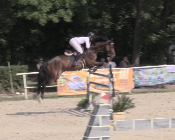 Reitturnier Prussendorf 2023
