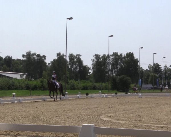 Reitturnier Münster-Roxel 2023