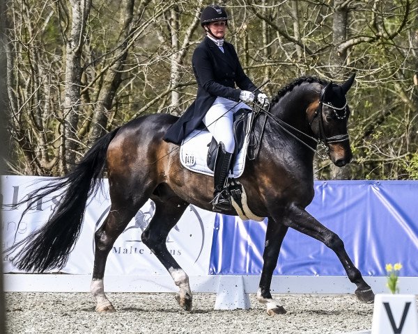 Katrin Knirsch