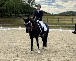 dressage horse Point To Point 8 (German Riding Pony, 2005, from FS Pour l'Amour)