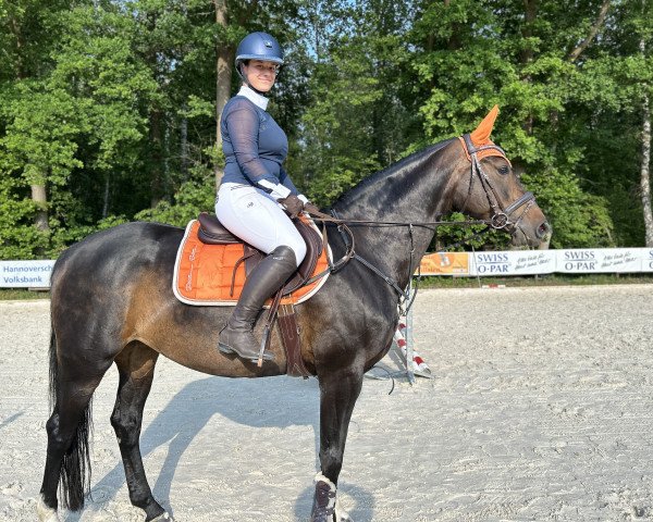 jumper Soléa Deluxe (Hanoverian, 2016, from Stolzenberg)