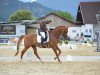 dressage horse Ferrero Küsschen K (Württemberger, 2012, from Fleiner)