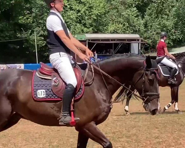 Reitturnier Höpfingen 2023