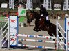 jumper Shadow 758 (New Forest Pony, 2011, from Holthausen Frodo II)