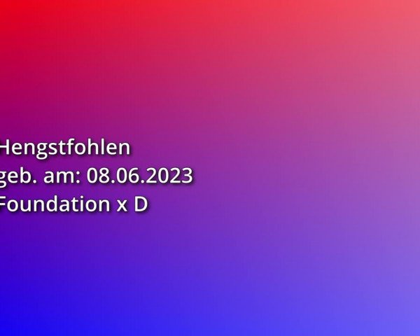 Oldenburger Fohlenschau mit Prämierung Fehrbellin 2023