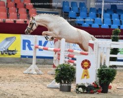 dressage horse Neymar (German Riding Pony, 2018, from Heidbergs Nancho Nova)