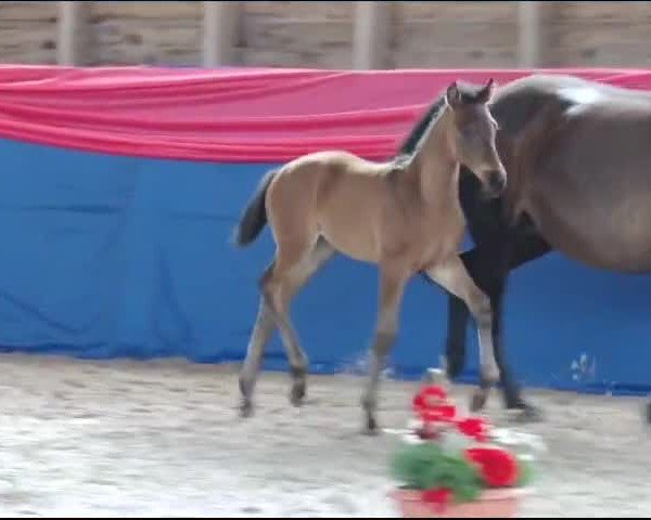 Video of Florina von Flamion