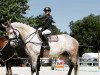 jumper Quantana 33 (German Warmblood, 2017, from Quasimodo vd Molendreef)