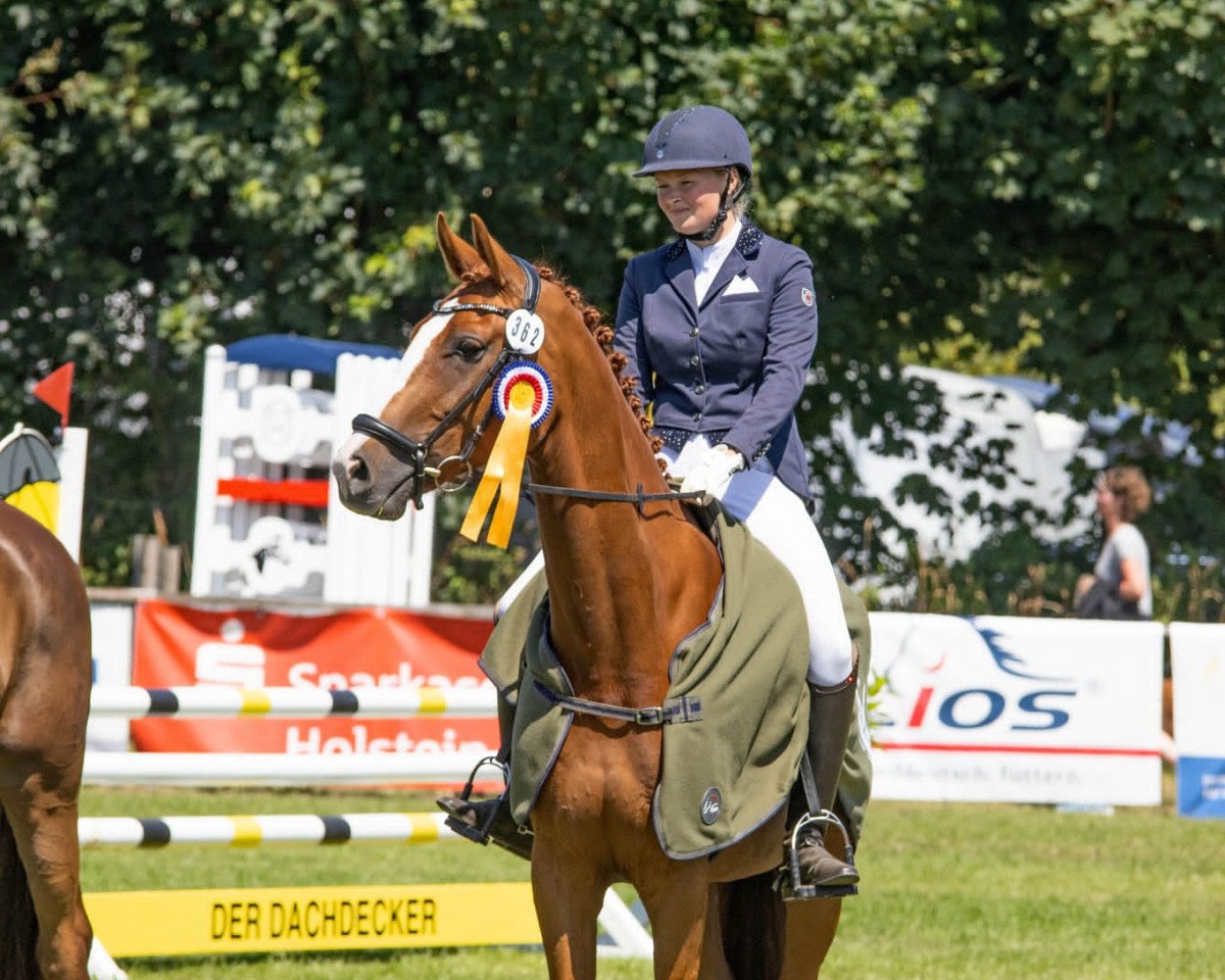 dressage horse Fürstensee 3 (Oldenburg, 2017, from Fürst Jazz)