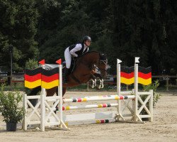 jumper Savage Rst (German Sport Horse, 2017, from Shalom D'Altenbach)